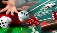 Perlu Tahu Apa yang Harus Dicari di Casino Online